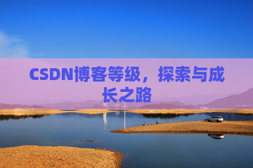 CSDN博客等级，探索与成长之路
